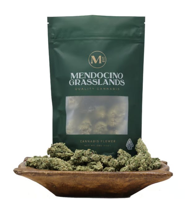 Golden: Gelato