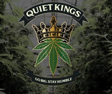Sour Diesel Preroll - 7 g - 14 Pack
