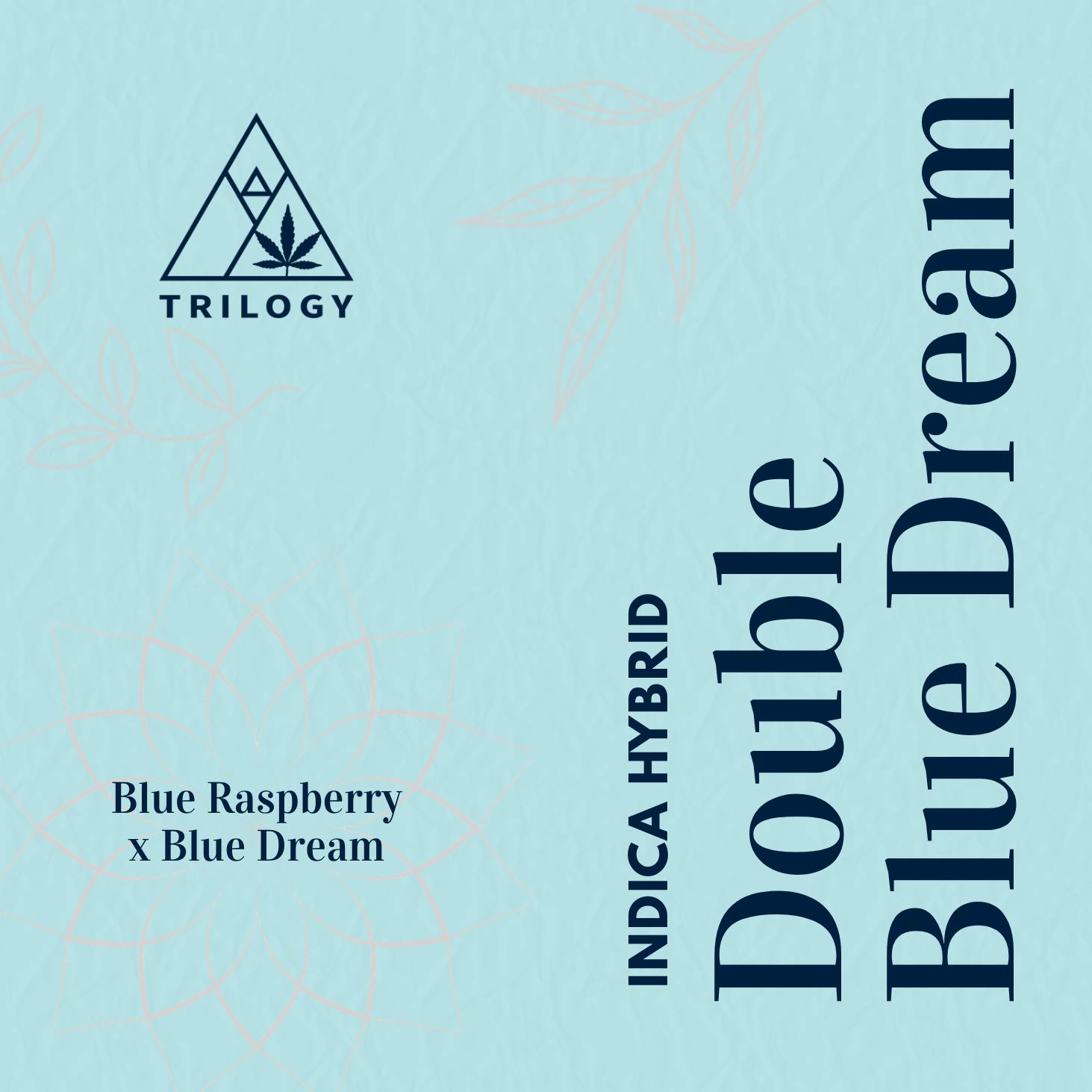 Double Blue Dream