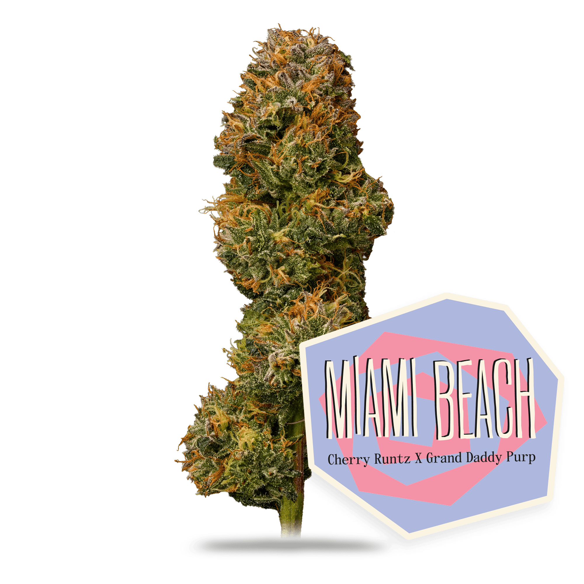 Miami Beach