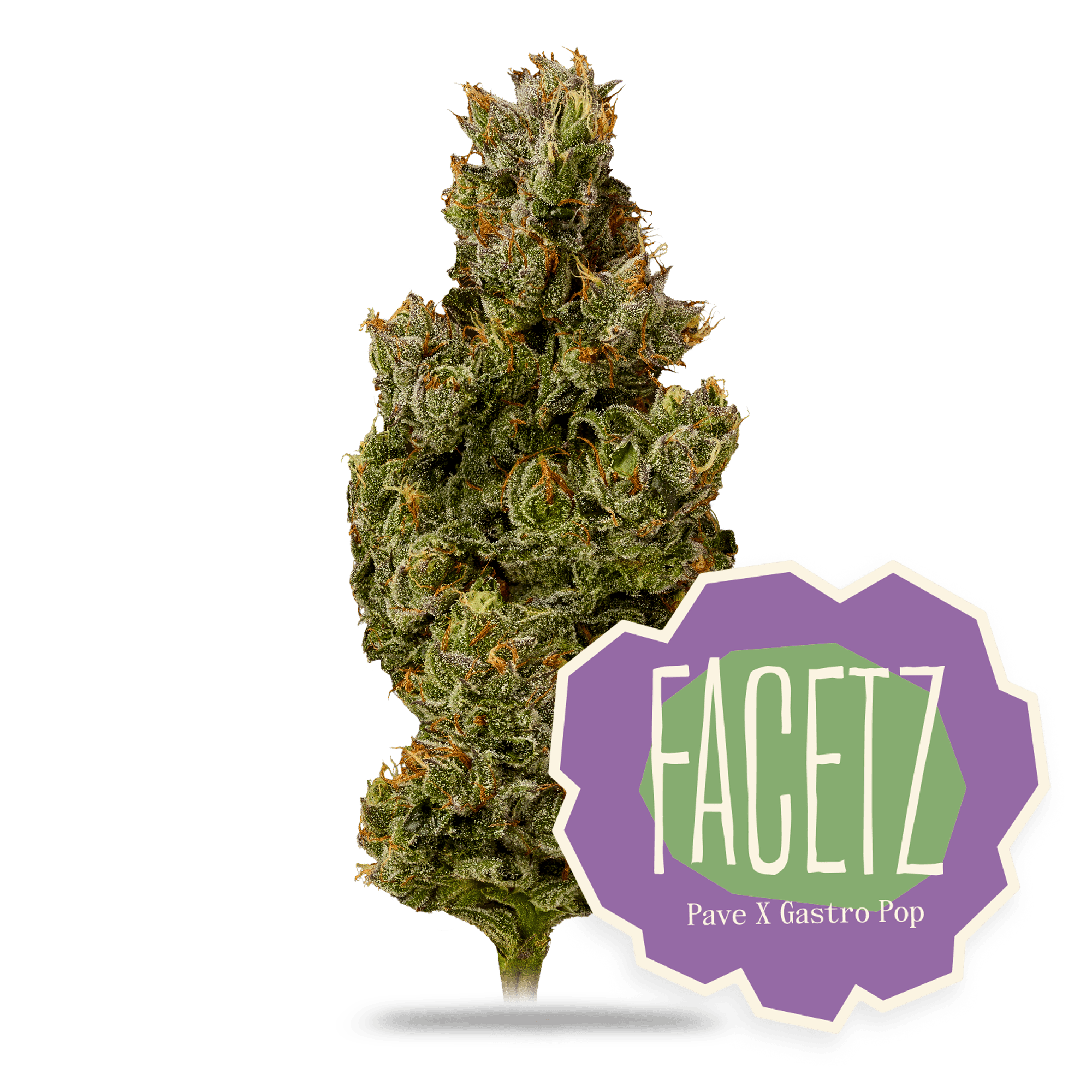 Facetz