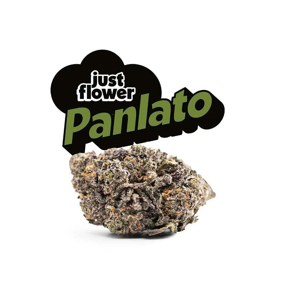 PanLato [4g]