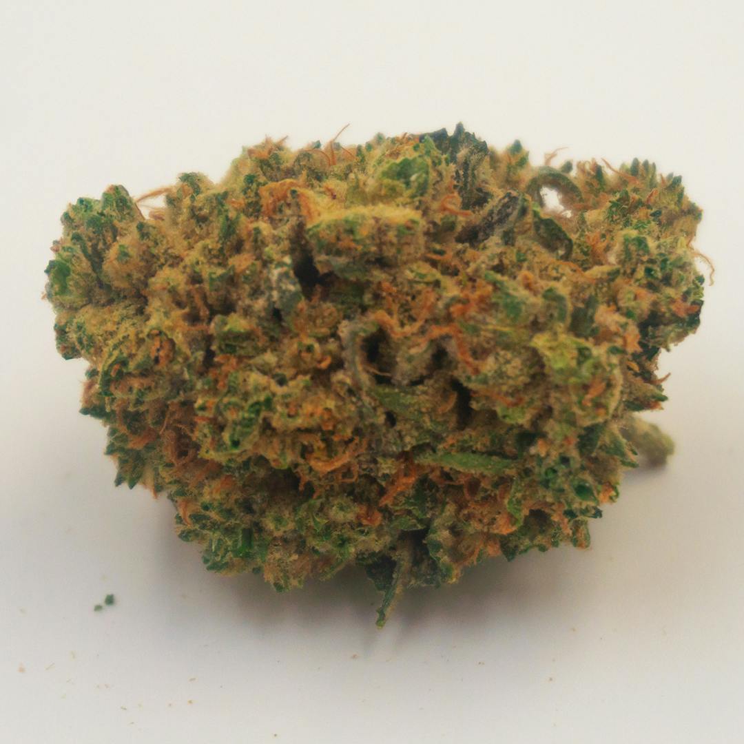 Hazel Nut Piff (MED)