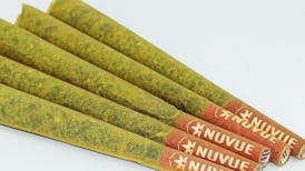 In House Infused Preroll: - Blueberry Cough x Sumo Grande 1.5g