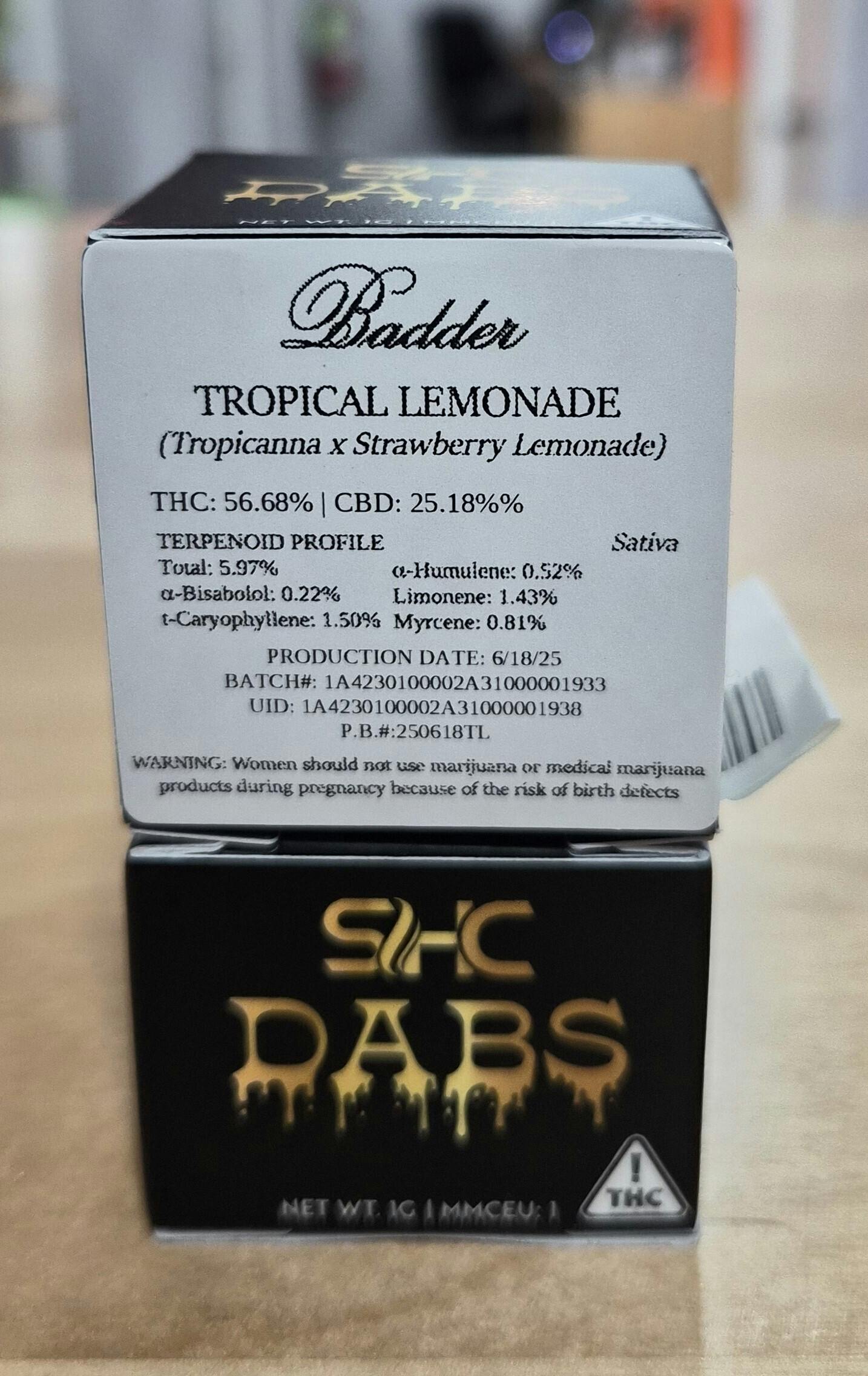 Tropical Lemonade – Badder – 1g by SHC Holdings LLC DBA Southern Herb Co