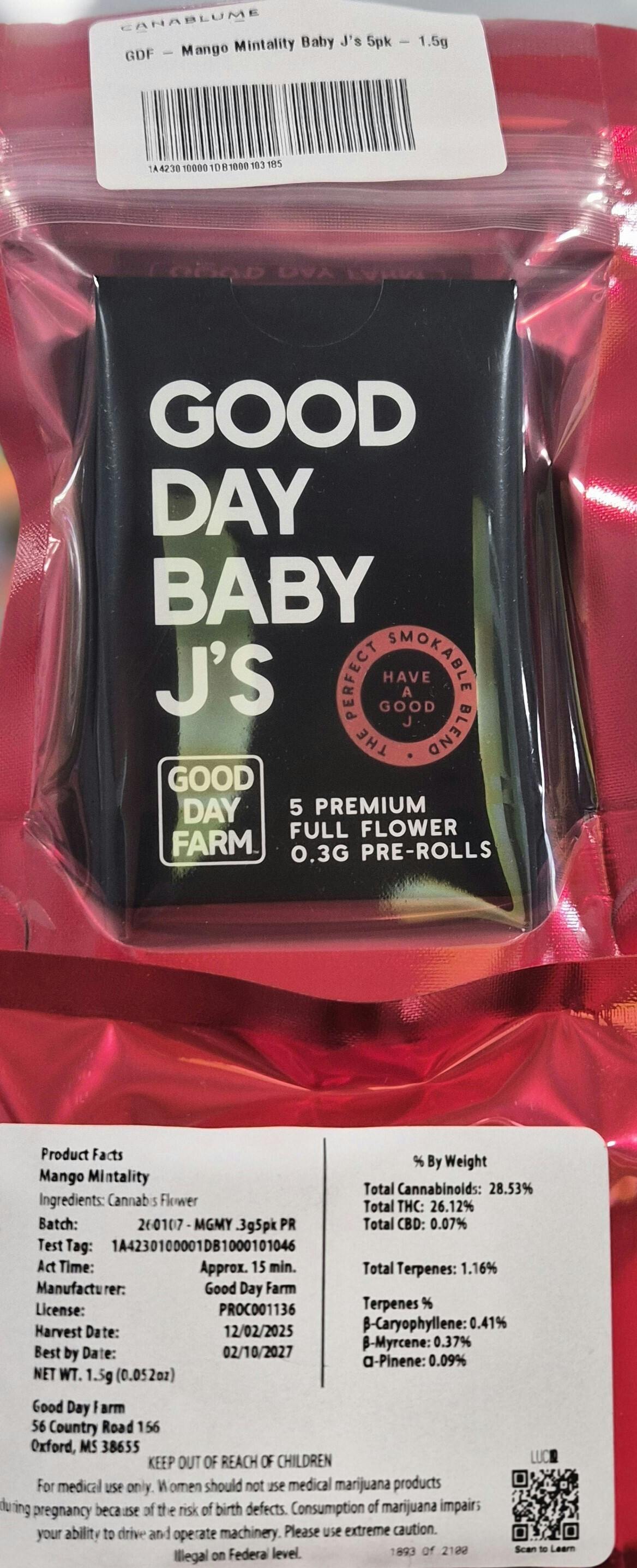GDF - Mango Mintality Baby J's 5pk - 1.5g
