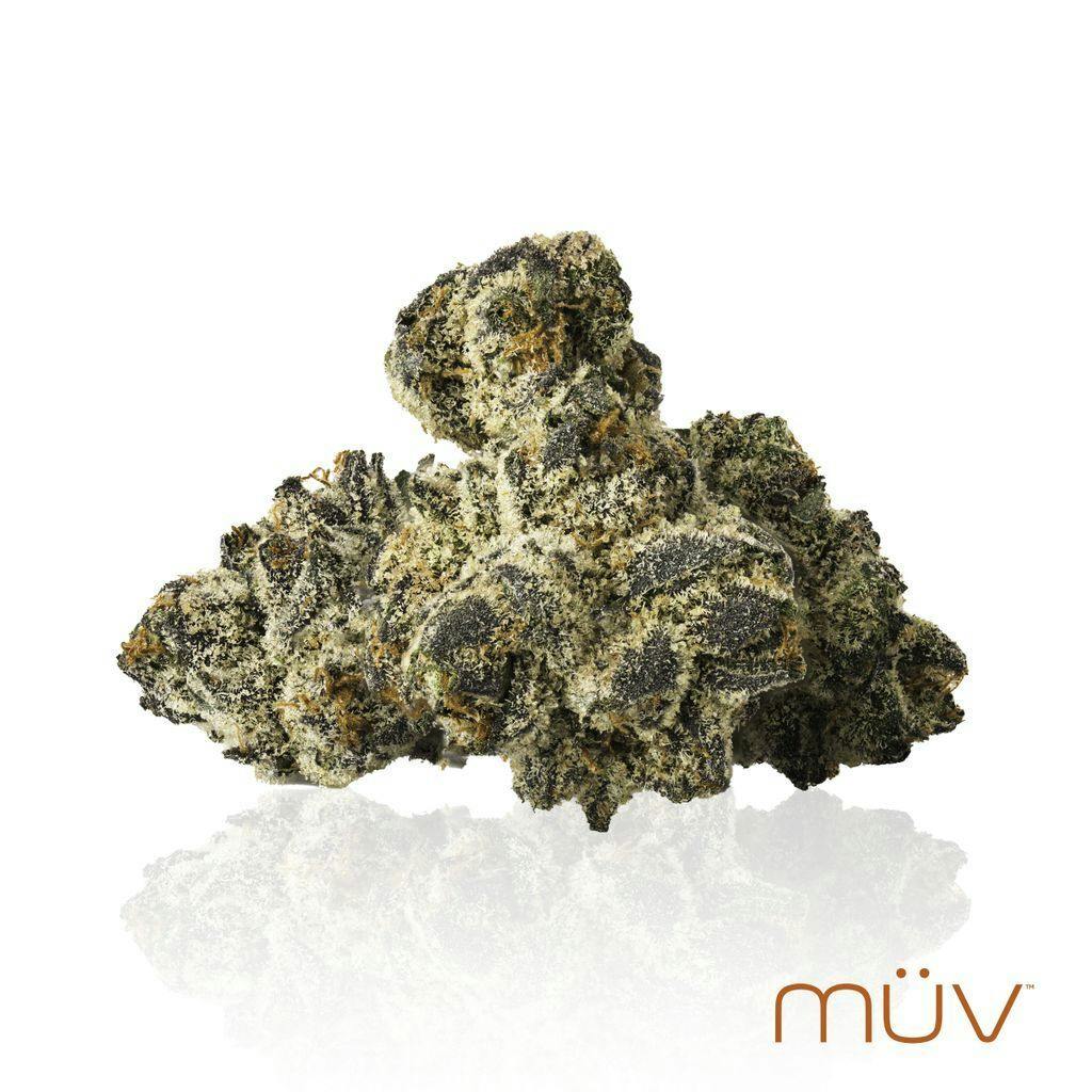 MÜV Facetz 14g