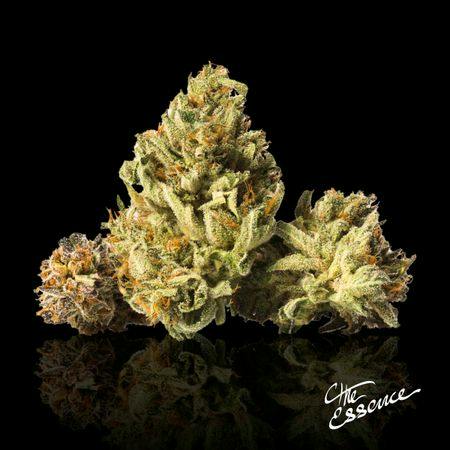 (the) Essence Melonade #8 3.5g at MÜV Cannabis Dispensary