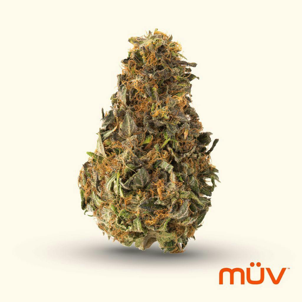 M V Snow Sweet x Jet Fuel Gelato