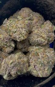 MITTEN CANNA - CANDY BLUES - DELI