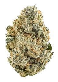 BLUNTZ X STRAWBERRY GUAVA - DELI