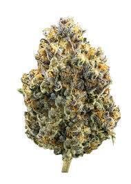 Honey Flambe | 1g