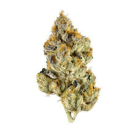 THE SOAP - SMALL BUDS - DELI