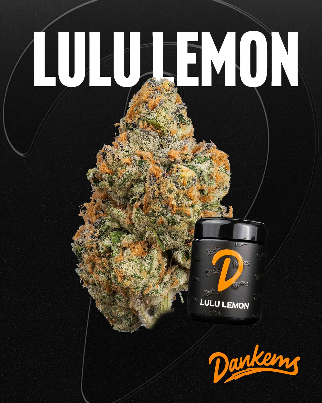 DANKEMS - LULU LEMON - 14G JAR