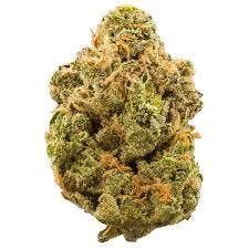 BUDDHA TAHOE OG - DELI