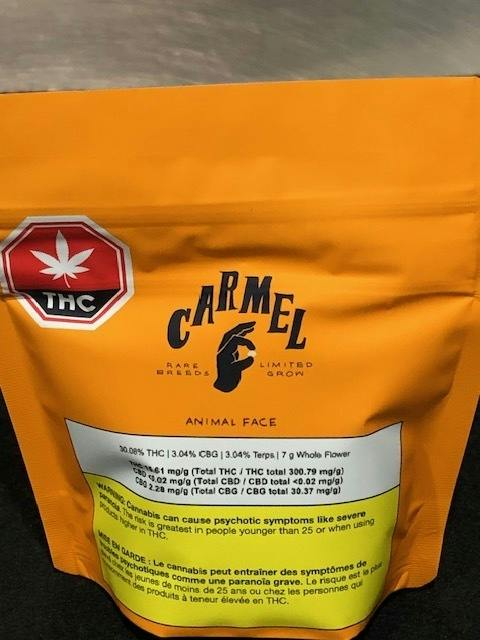 Carmel - Animal Face 7g Dried Flower