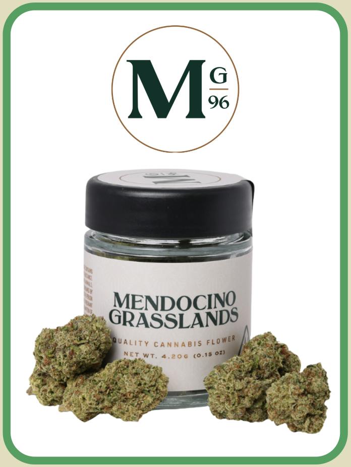 MENDOCINO GRASSLANDS - MANGO HAZE (4.2G) [S]