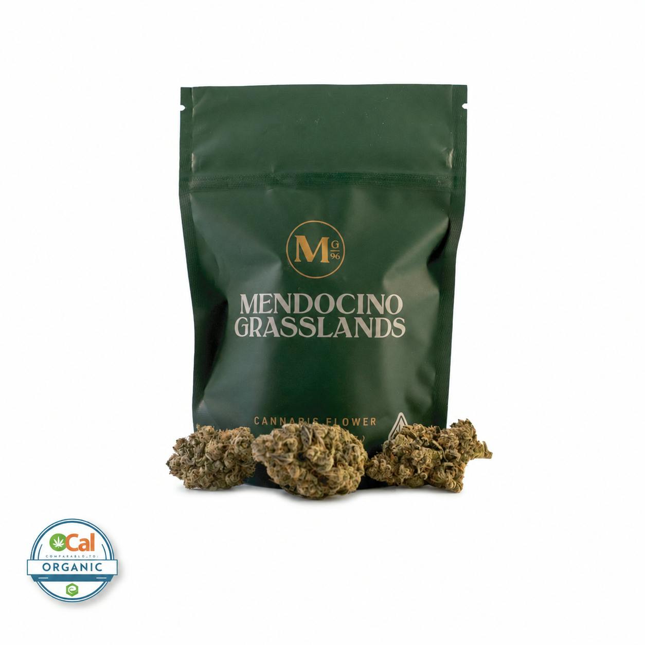 MENDOCINO GRASSLANDS - PHAT CAT (14G) [H]