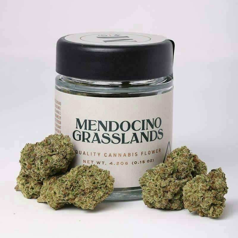 MENDOCINO GRASSLANDS - GUAVA TART (4.2G) [S]