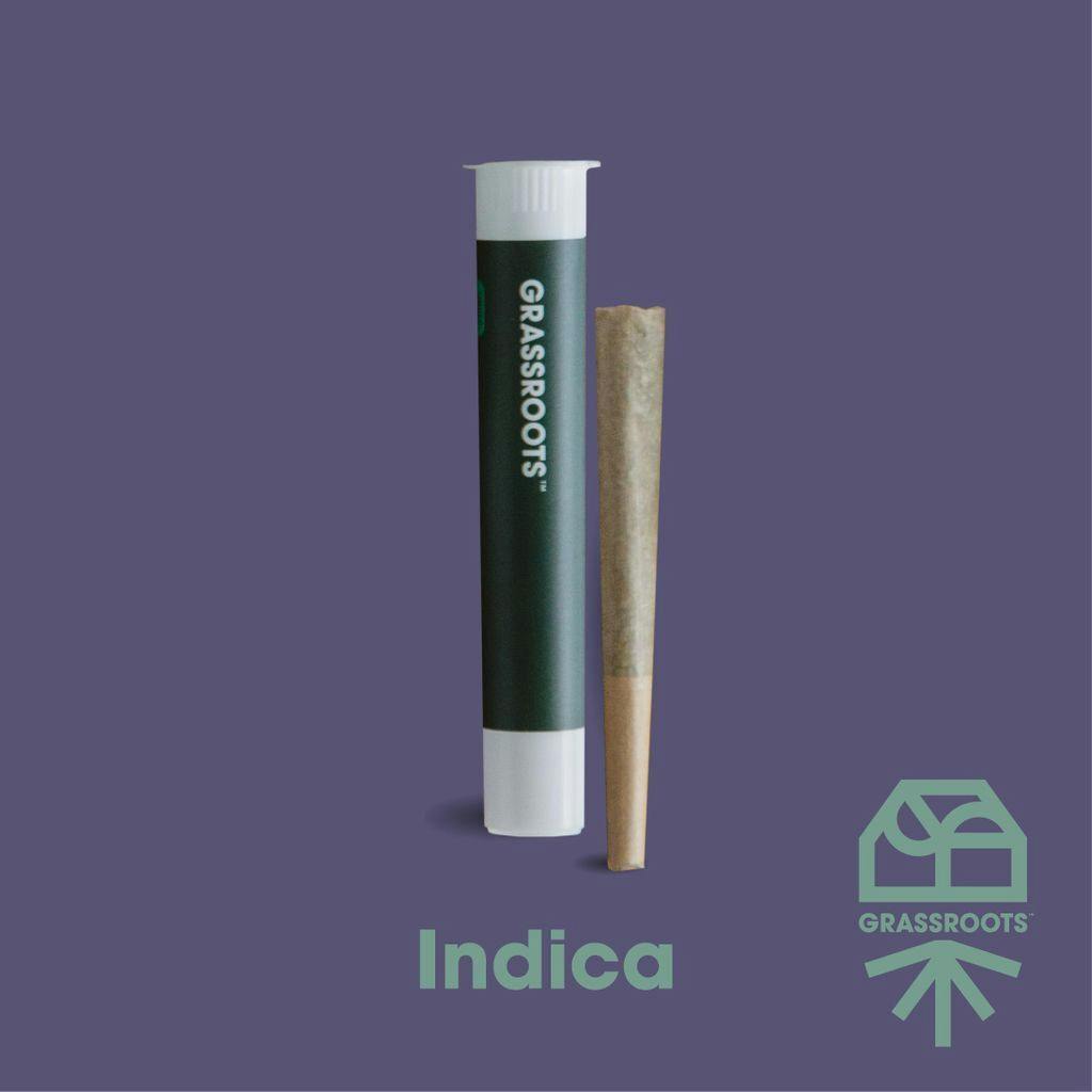 Grassroots Cheddar Cheeze Pre-Roll 1g at Curaleaf Dispensary Punta Gorda