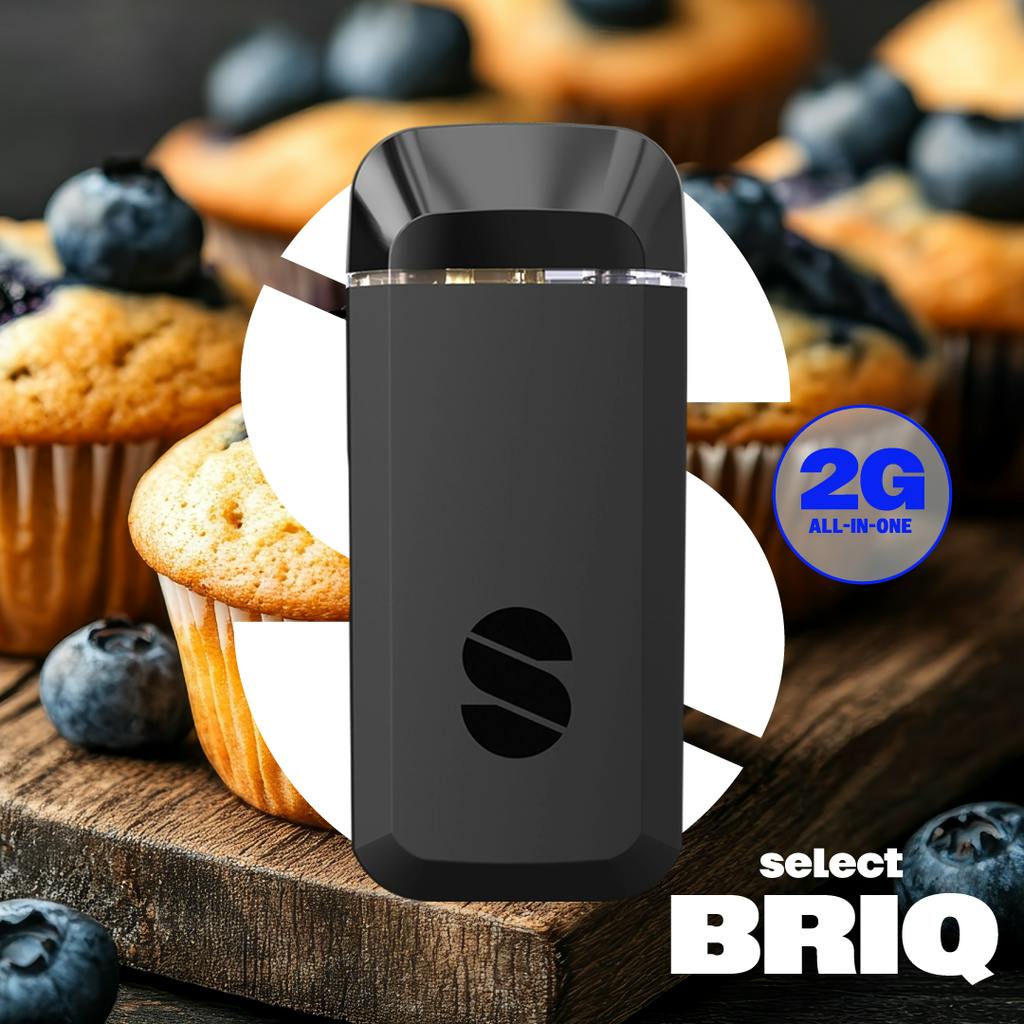 Essentials Blueberry Muffin Briq