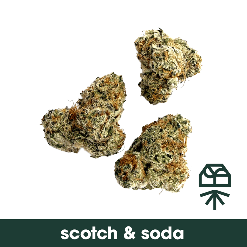 Grassroots Scotch & Soda Smalls 3.5g