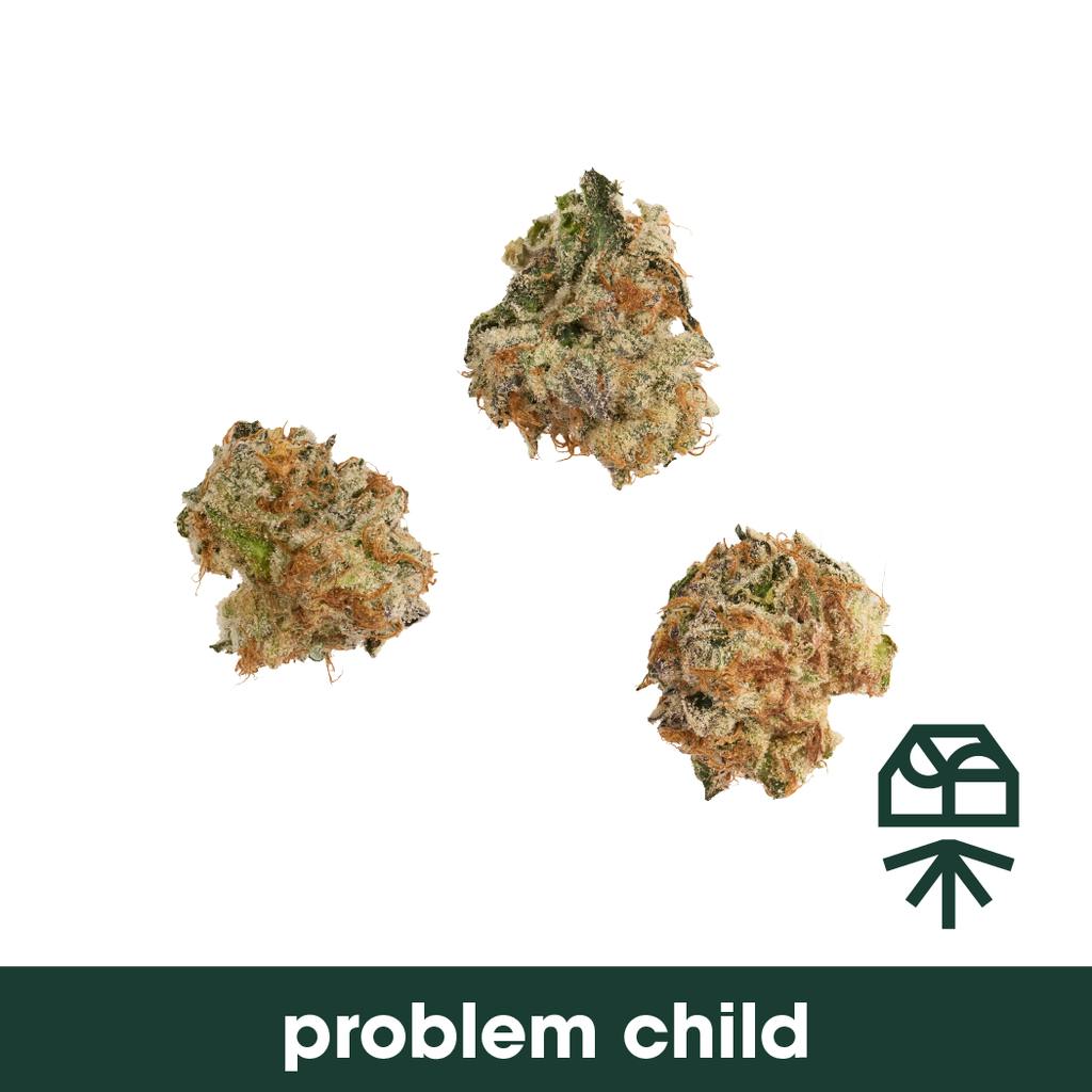 Grassroots Problem Child Smalls 3.5g