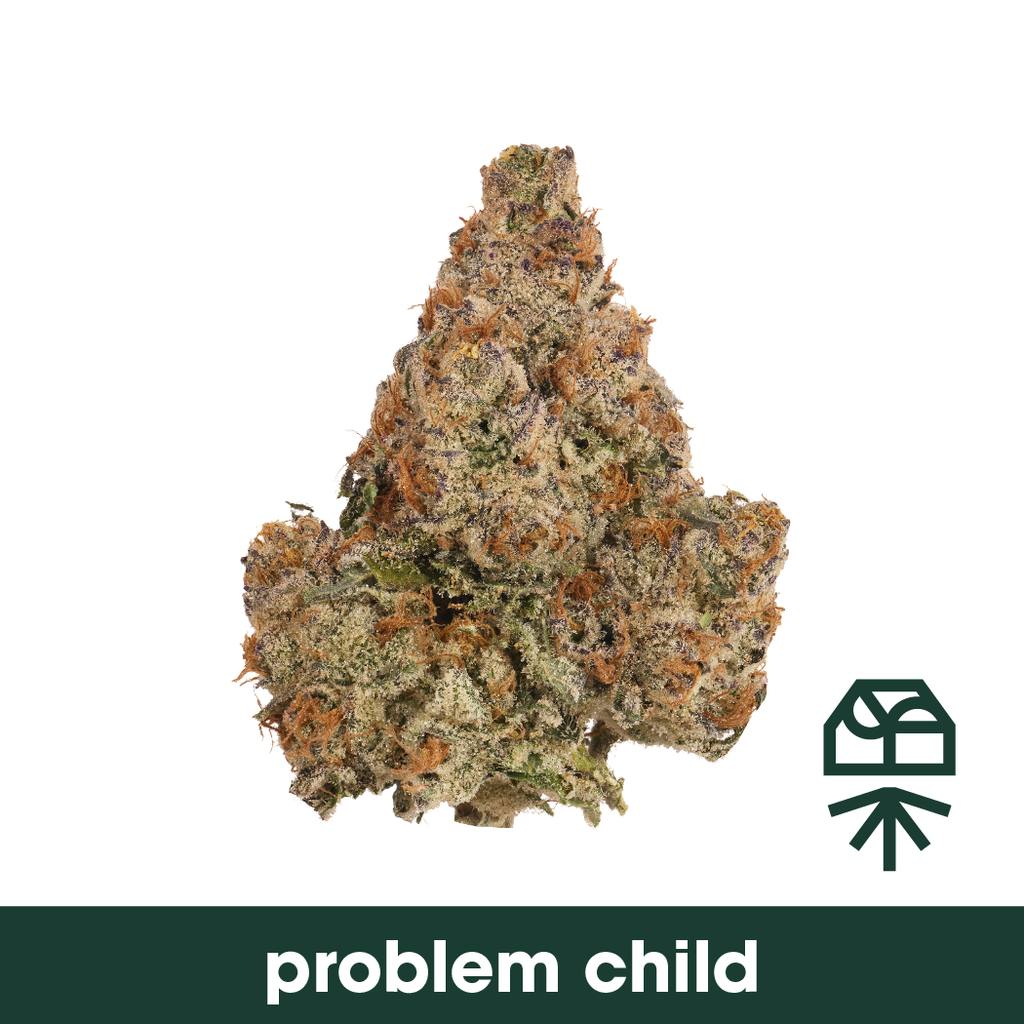 Grassroots Problem Child Whole Flower 3.5g