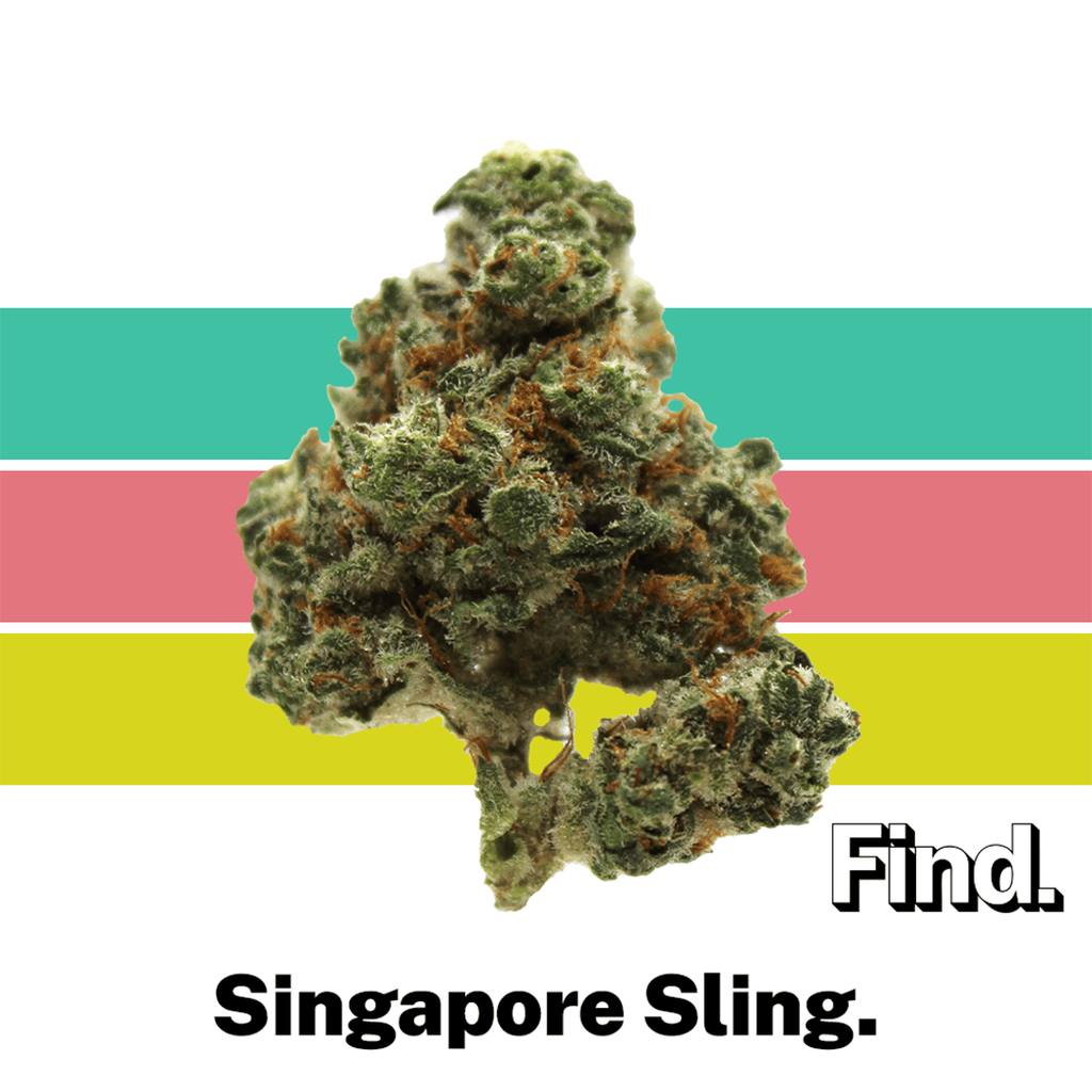 Find. Singapore Sling Whole Flower 3.5g