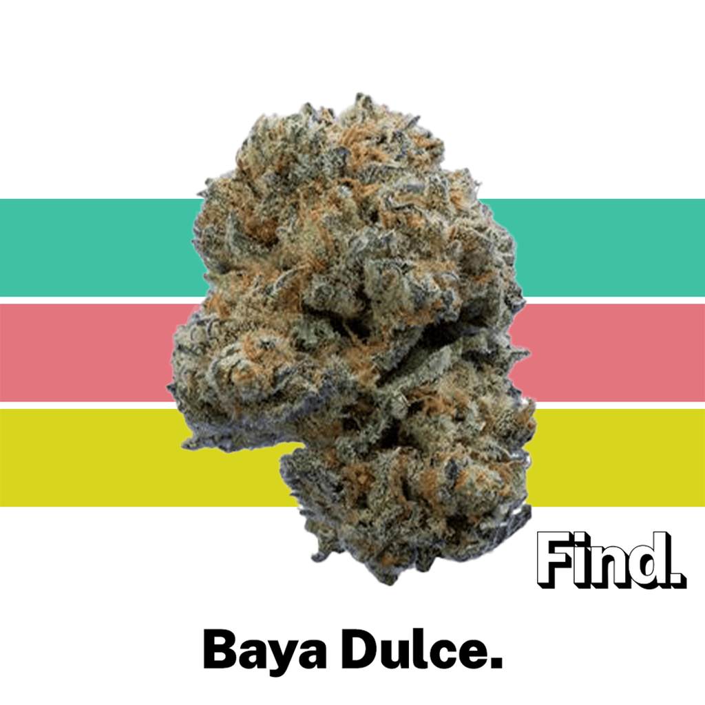 Find. Baya Dulce Whole Flower 3.5g