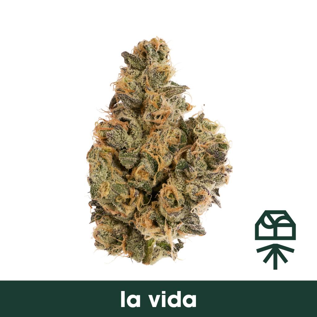 La Vida Whole