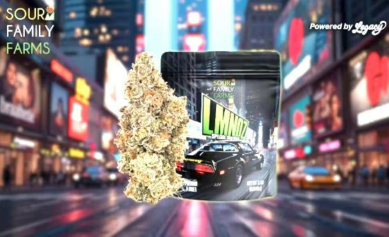 LMNO-Z (3.5g)