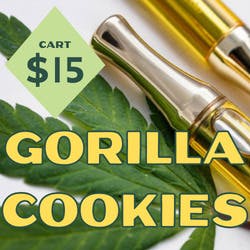 Cartridge | Gorilla Cookies at The Java Joint by LPC