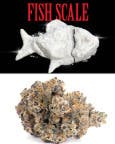 Cookies Fish Scale 3.5G Flower Bag (IH)