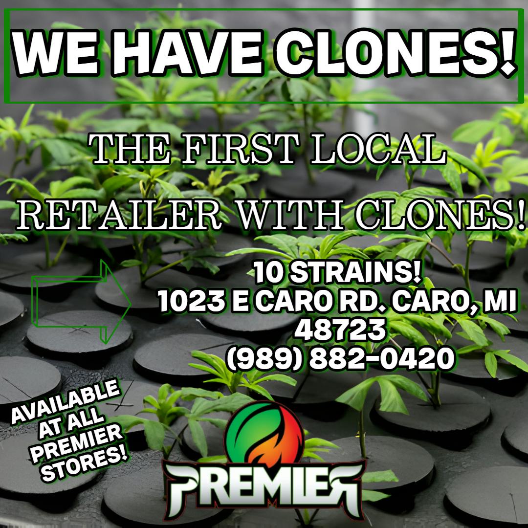 Wise Guys Clones