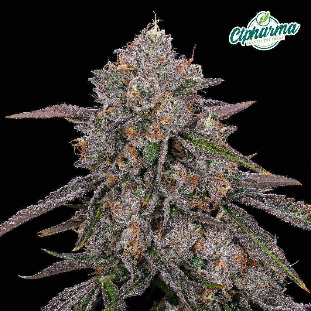 CTPharma Blue Andeze 3.5g Flower