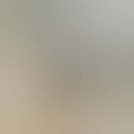 (AU) Stoned to the Bone 0.5g Live Rosin All-In-One - Chimera