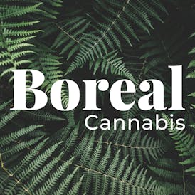 Grape Diamonds Trim from Boreal Cannabis