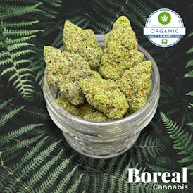 Melonade from Boreal Cannabis