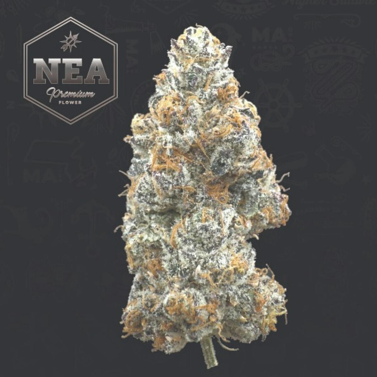 3.5g Flower - Gelato Ice Cream at Ember Gardens Weed Dispensary Cape Cod
