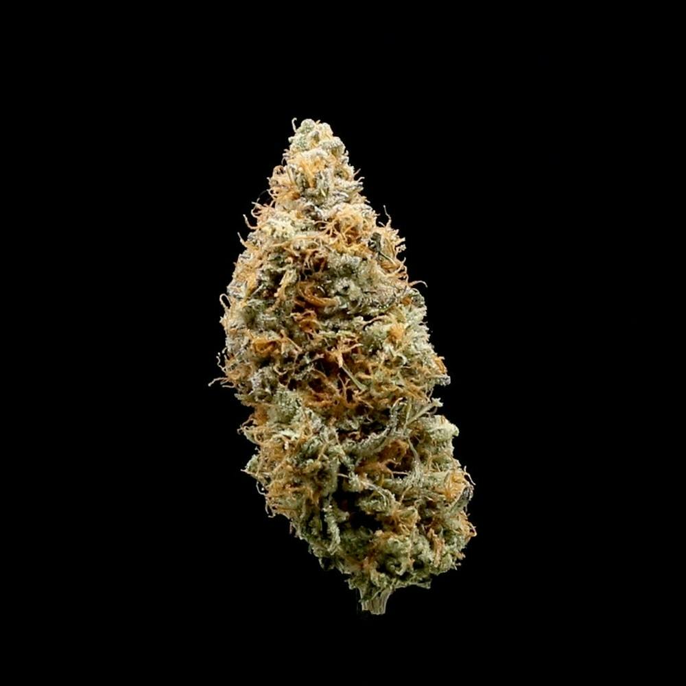 Mule Fuel