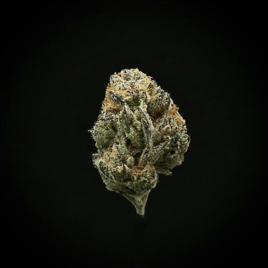 Flower - 28 g - Frosted Gelato