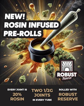 California Raisins Infused Preroll 2pk (.5g)
