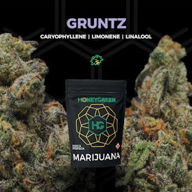 Gruntz (7g)