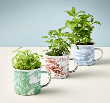 MUG GROW KITS | LEMON BASIL - One Size