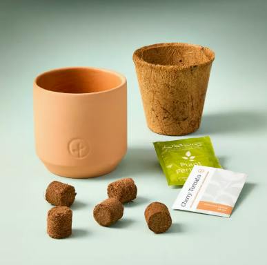 TERRACOTTA GROW KIT | CURIOUS CATNIP - One Size