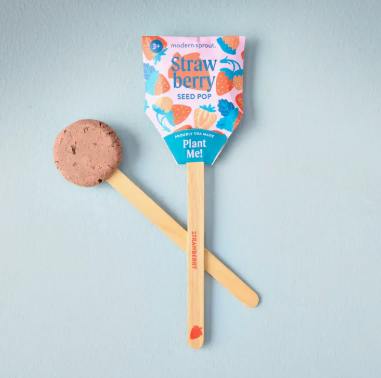 GARDEN SEED POP | STRAWBERRY - One Size