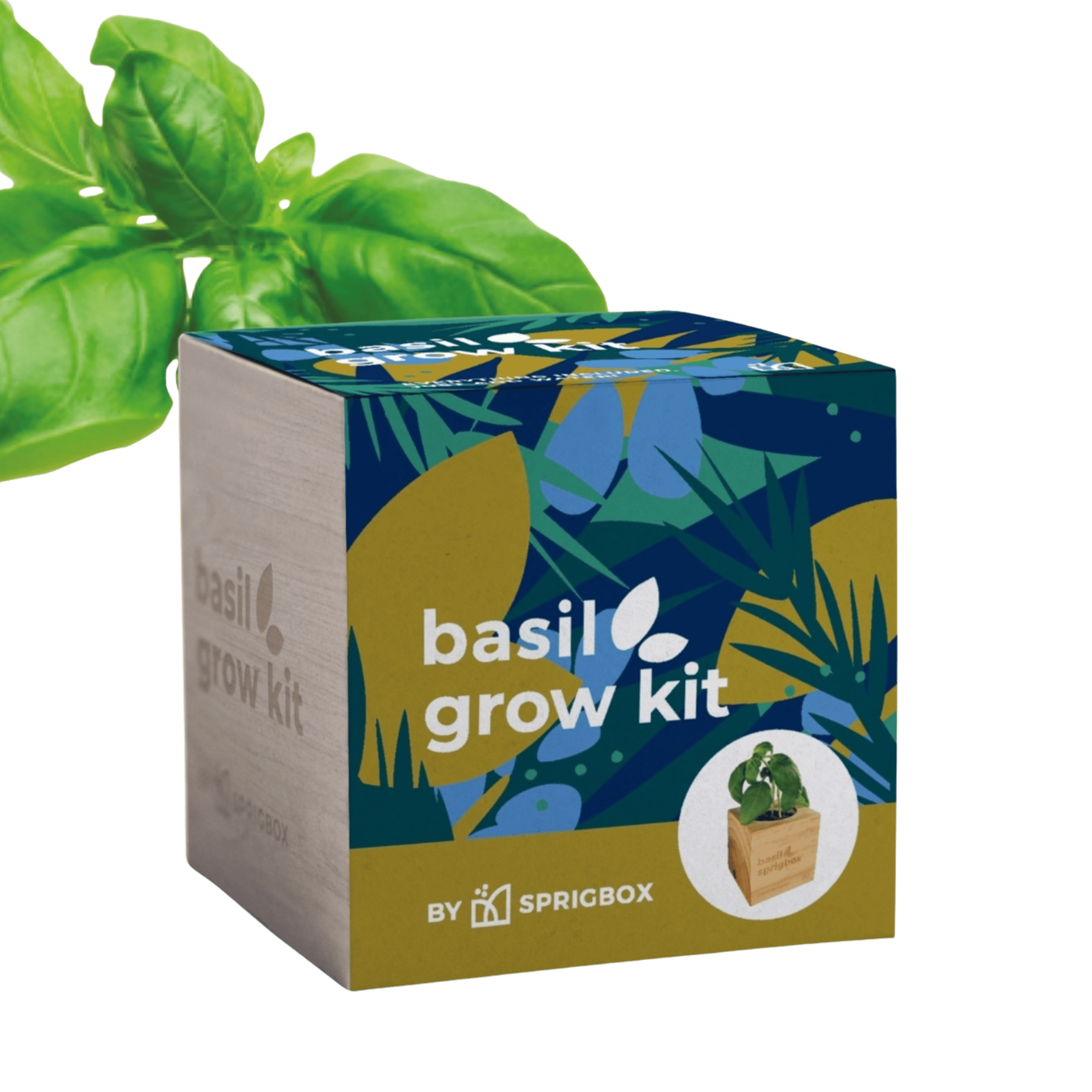 WOOD BOX GROW KIT | BASIL