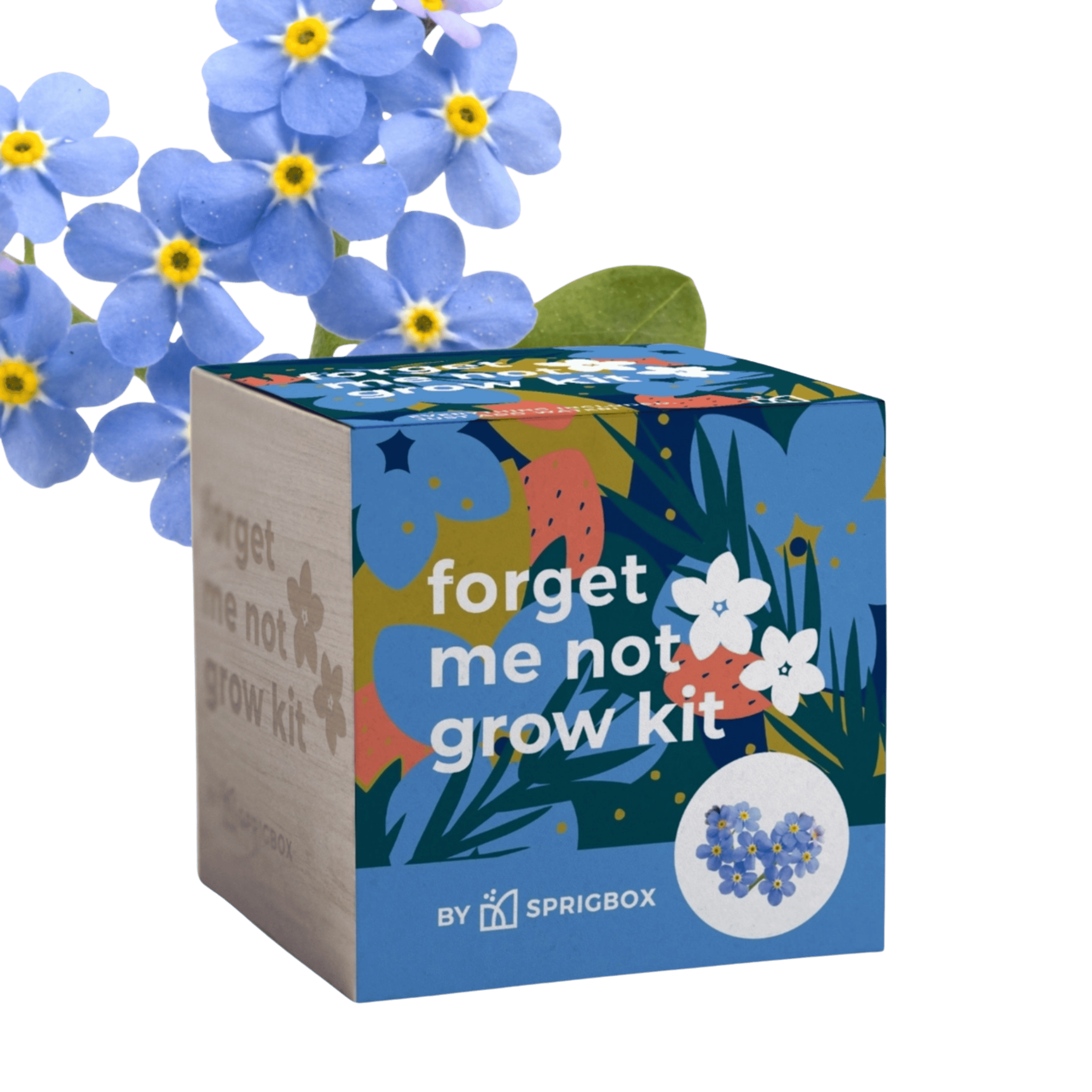 WOOD BOX GROW KIT | FORGET ME NOT