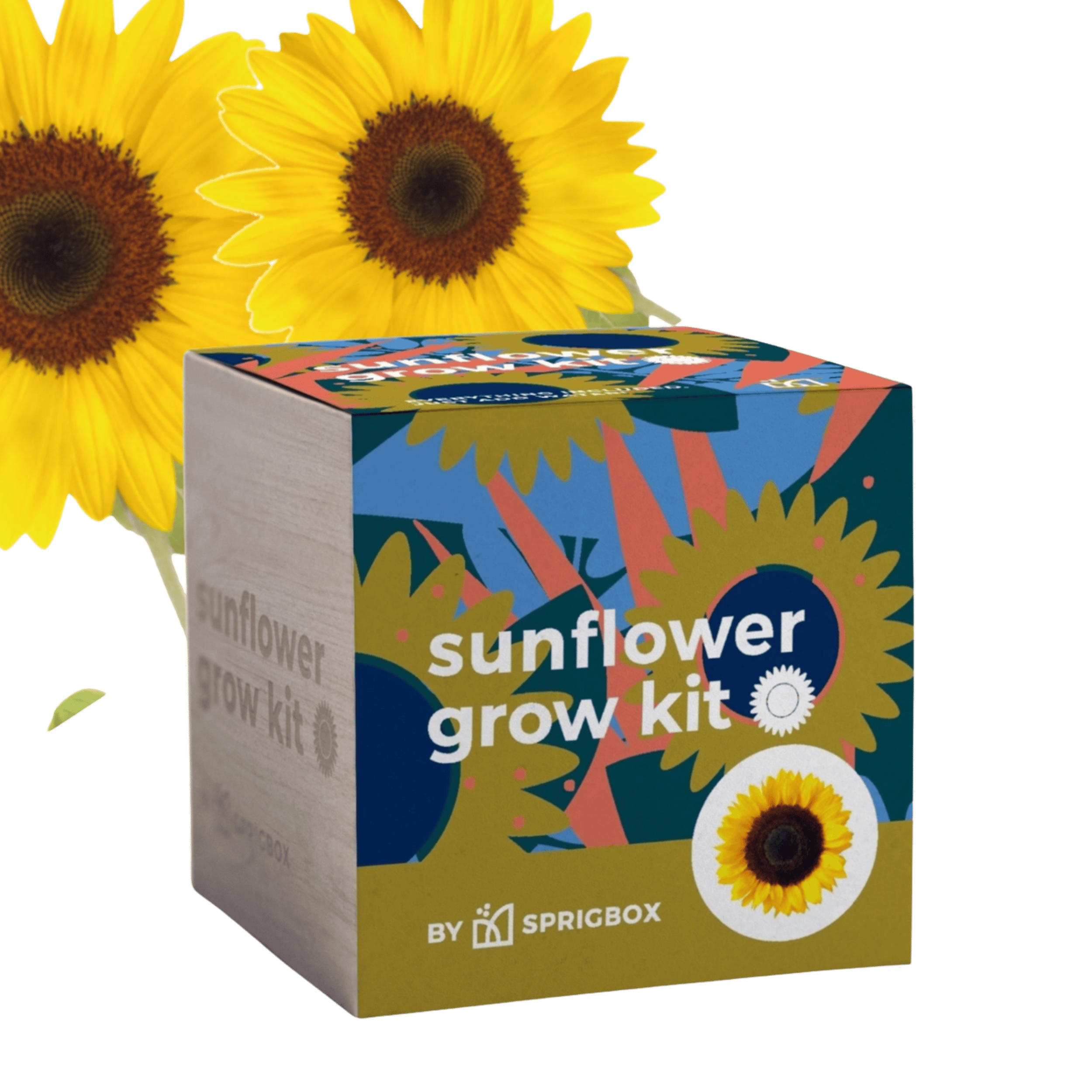WOOD BOX GROW KIT | SUNFLOWER